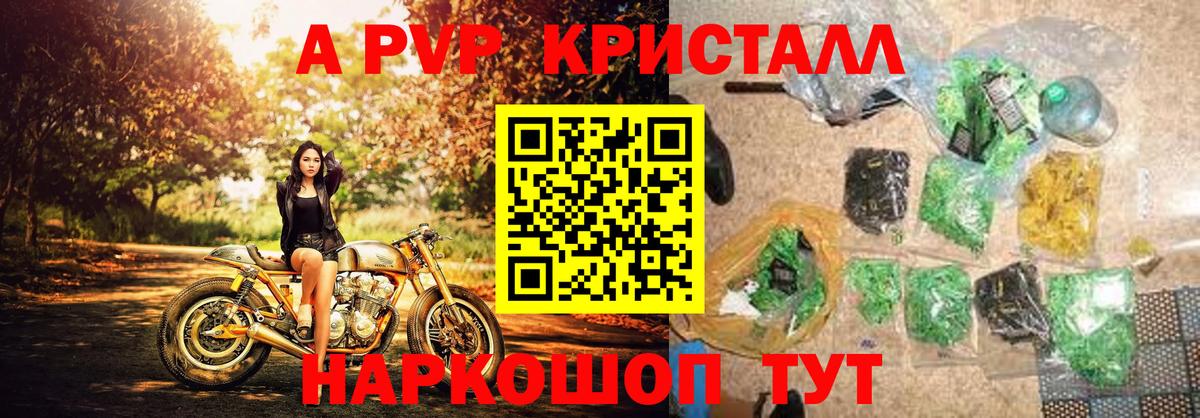 Альфа ПВП  Вход с VPN  A PVP крисы CK  Коряжма  A-PVP СК КРИС 