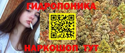 стаф Тулун