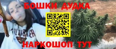 стаф Тула