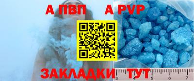 стаф Тула