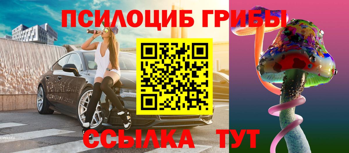 Псилоцибиновые грибы прущие грибы  Вход с VPN  где найти   Коряжма 