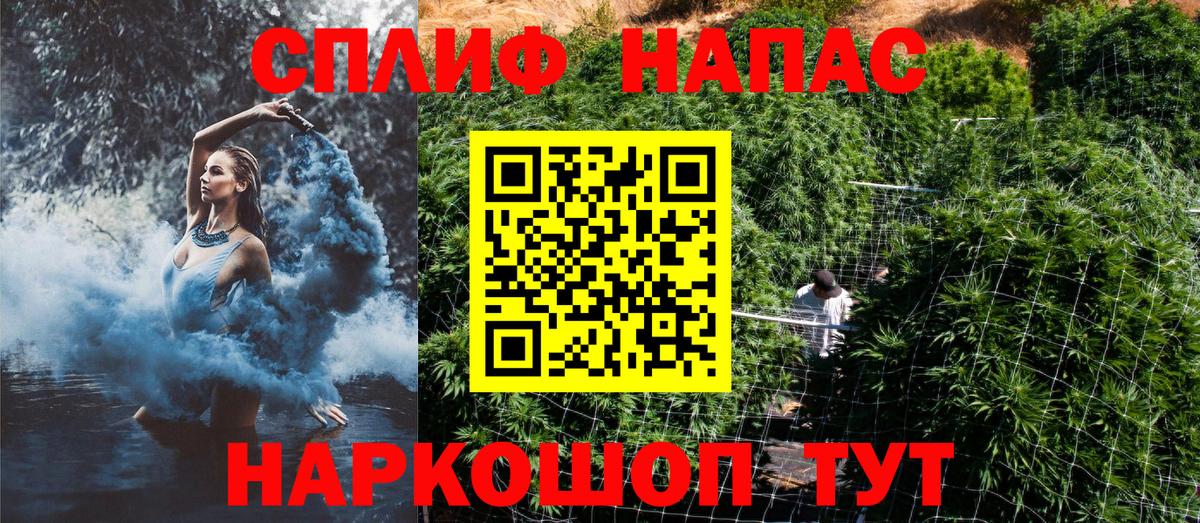 Конопля гибрид Коряжма